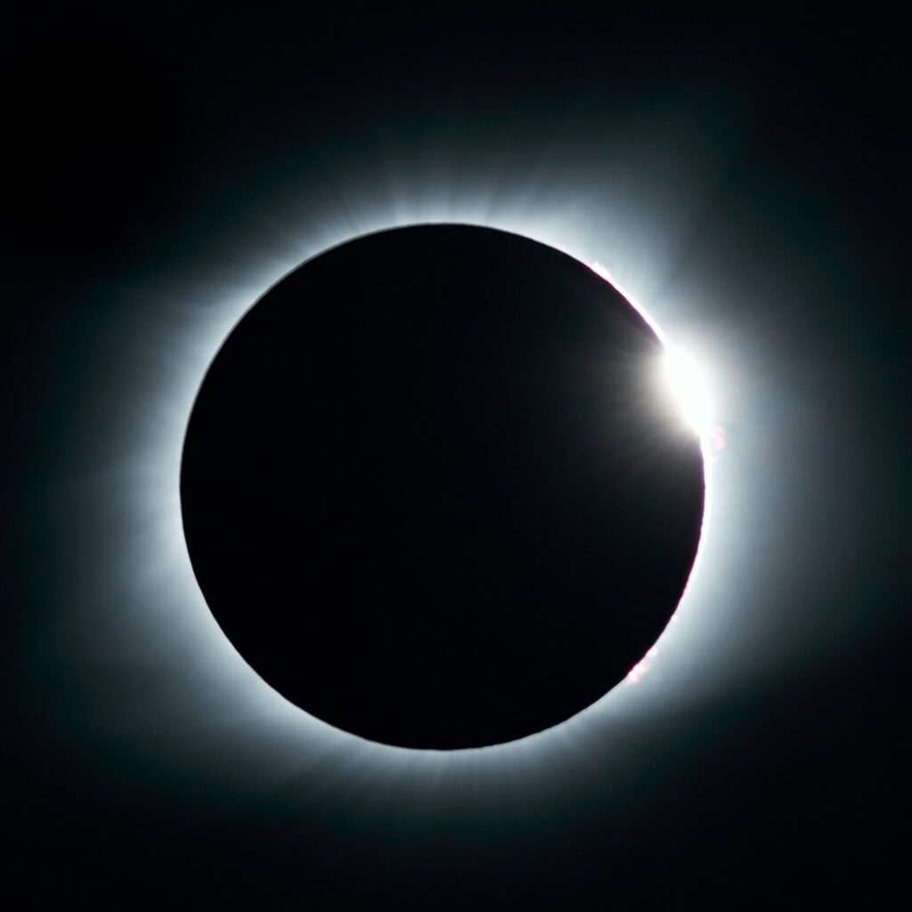 Photo by Mathew Schwartz on Unsplash
